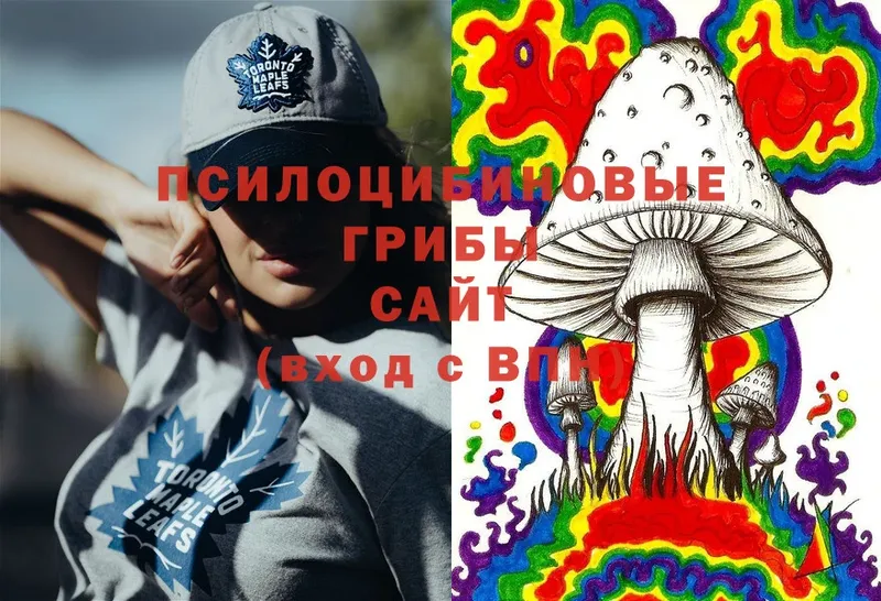 Галлюциногенные грибы Psilocybine cubensis  Углегорск 